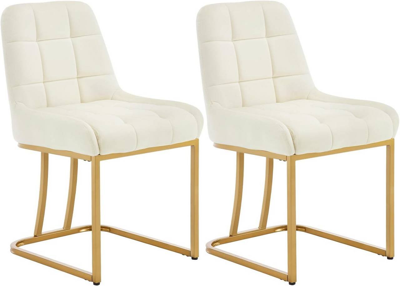Velvet Dining Chair with Gold Arched Frame, Set of 2